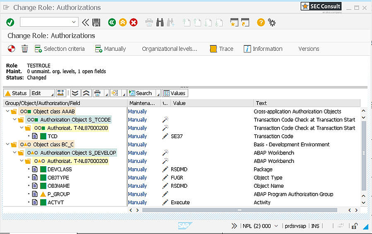 Figure 1: Authorizations assigned to the user TEST.